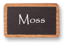 Moss