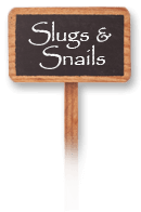 Slugs & Snails